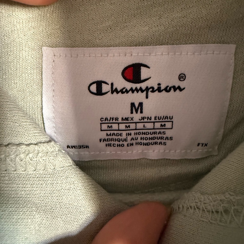 Men’s Size Medium Champion Hoodie Tonal Script - Picture 5 of 8